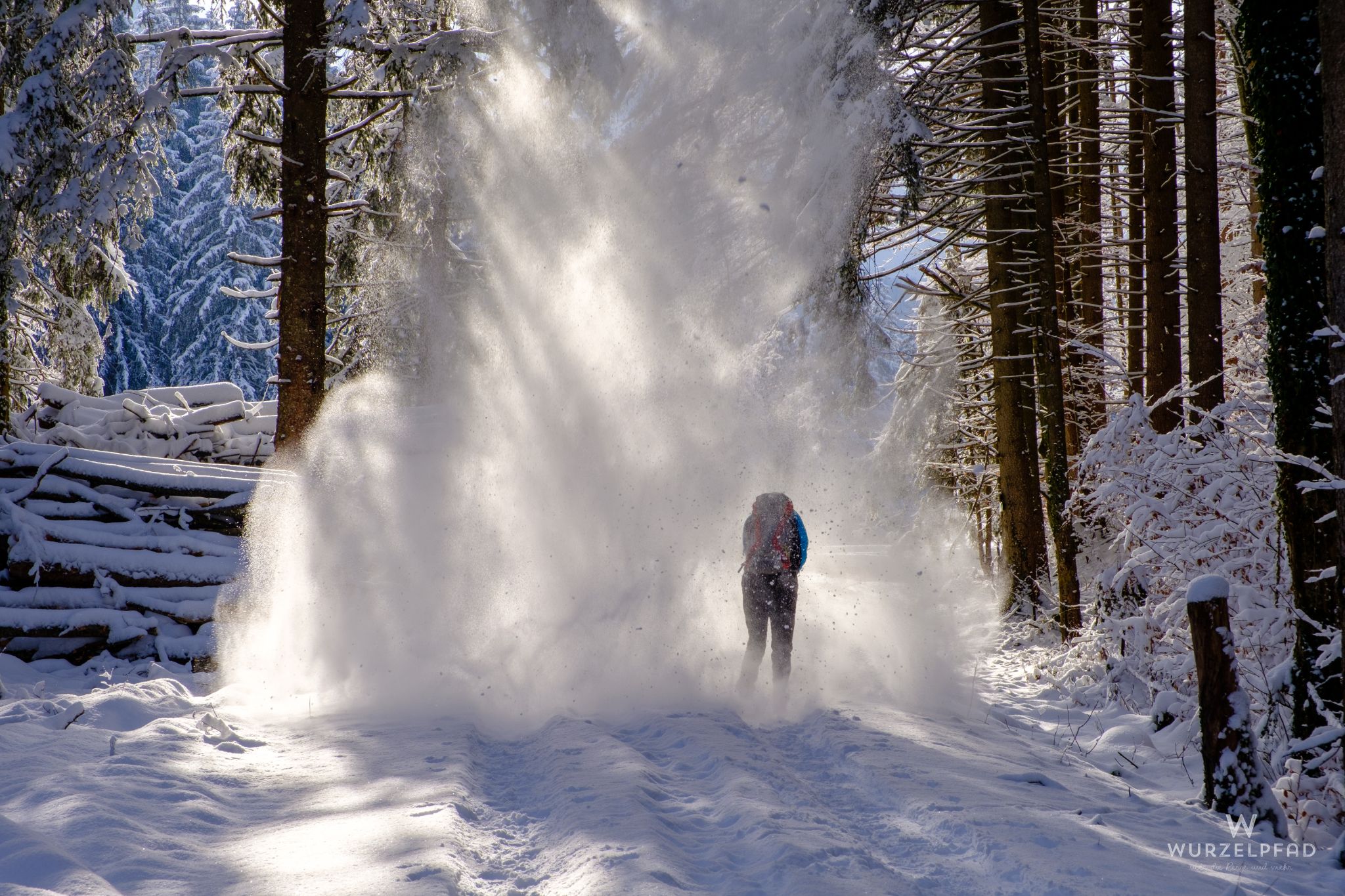 No Pic? Didn't Happen!